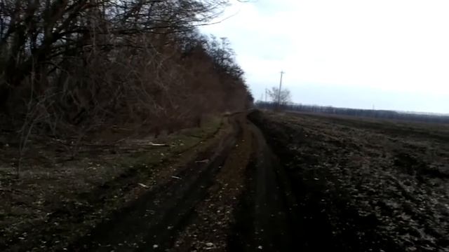 Выбор места установки ловушки для ловли бродячих роев вблизи города смотреть онлайн