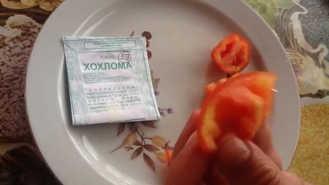 Томат "ХОХЛОМА". Дегустация смотреть онлайн