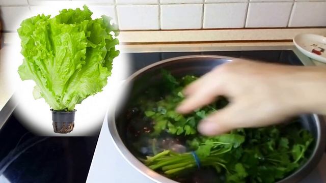 Совет дня: Как освежить увядшую зелень смотреть онлайн