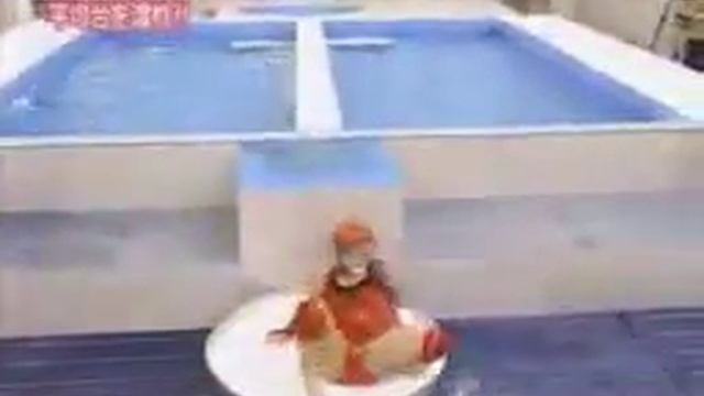 Японское шоу! Вода в бассейне - кипяток!.flv смотреть онлайн