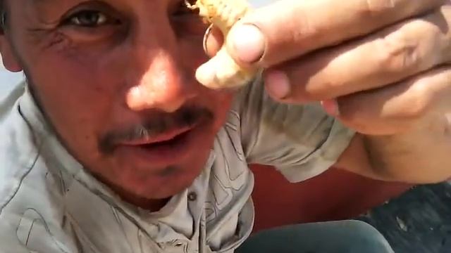 Чукча вот это Сыедание вампир смотреть онлайн