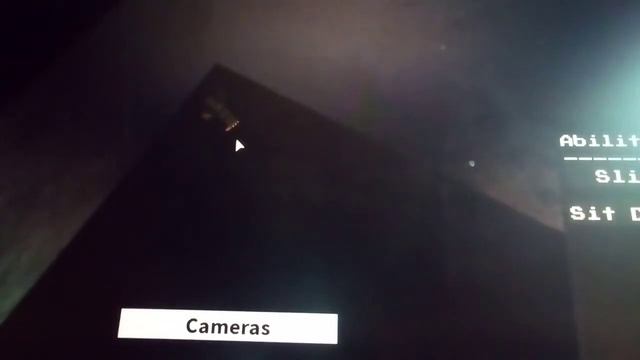 Видео-ответчик