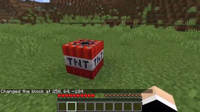 [TCRF] Minecraft: Java Edition - Legacy TNT [1.13.1+] смотреть онлайн