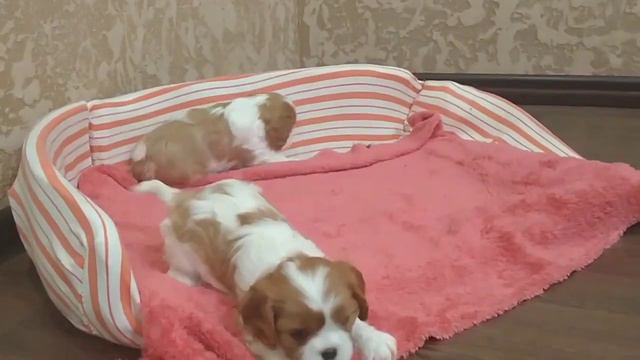 А мы растём)))