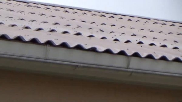 Cаморезы, шифер ,крыша