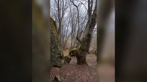 КЧР. Курджиново 26.02.22