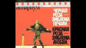 Капитан Воронин