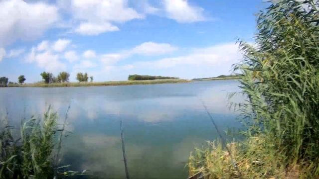 Как поймать зеркального карпа для начинающих Рыбалка на Кубани смотреть онлайн