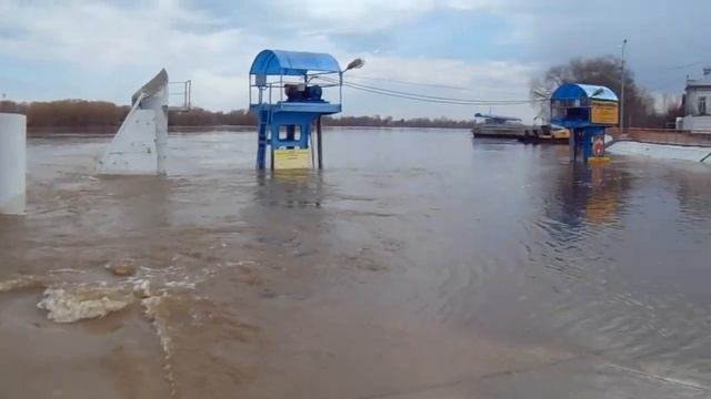 Половодье на Оке, с Дединово. 04.04.2023г. смотреть онлайн