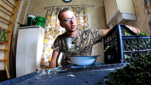 Иван чай. Как собирать и сушить? смотреть онлайн