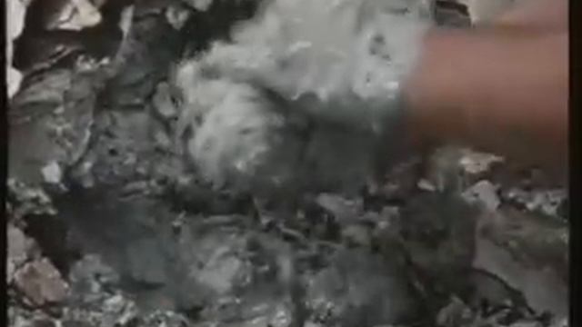 Dead Sea Cosmtics, Dont Buy Dead Sea Products Before Watchin смотреть онлайн