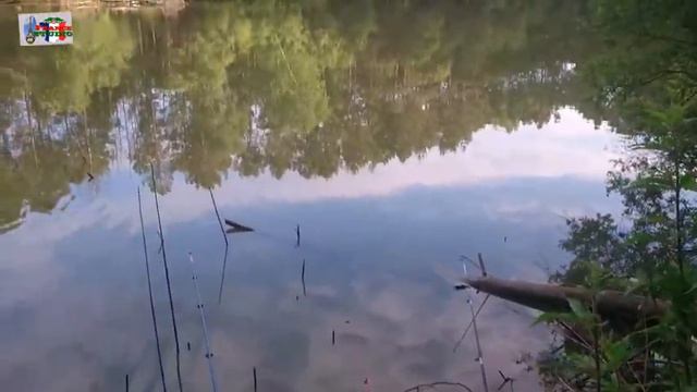 На рыбалке , поймал раков смотреть онлайн