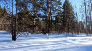 «Кто ты и кто я» муж высмеивал уволенную жену. А когда Тамара получила наследство...