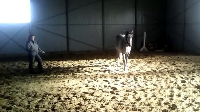 Синица смотреть онлайн