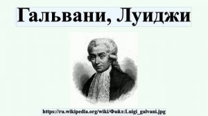 Гальвани, Луиджи