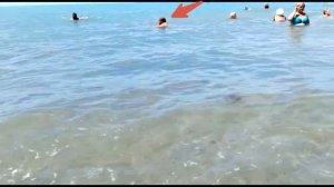 Морские испытания Geneinno S2 Orange