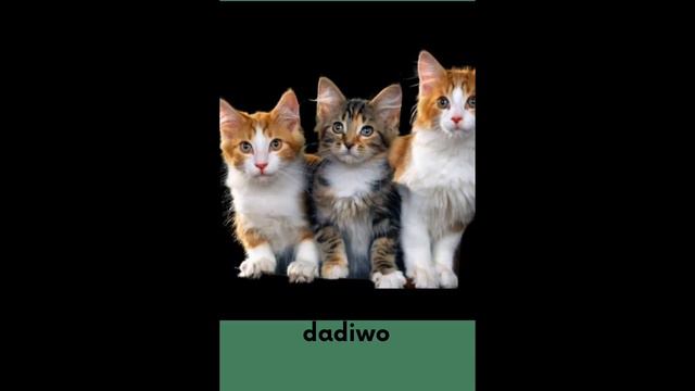 Simple ways of reading ,speaking and writing Ewe lesson 8 смотреть онлайн