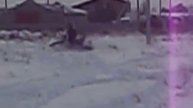 100 1420Снегоход с двигателем от Днепра.