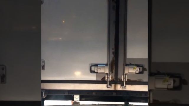 Мастерство и Развитие