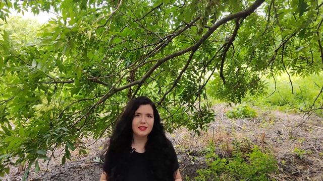 Всё о простуде: как помочь себе и детям, когда бежать в неотложку, нужны ли антибиотики? смотреть онлайн