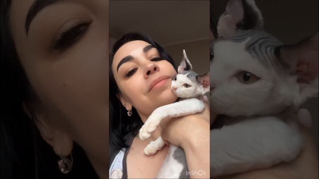 Мальчик девон-рекс смотреть онлайн