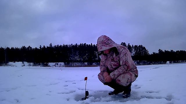 Рыбалка на жерлицы#рыбалка#зима#жерлицы#балансир#щука#окунь# смотреть онлайн