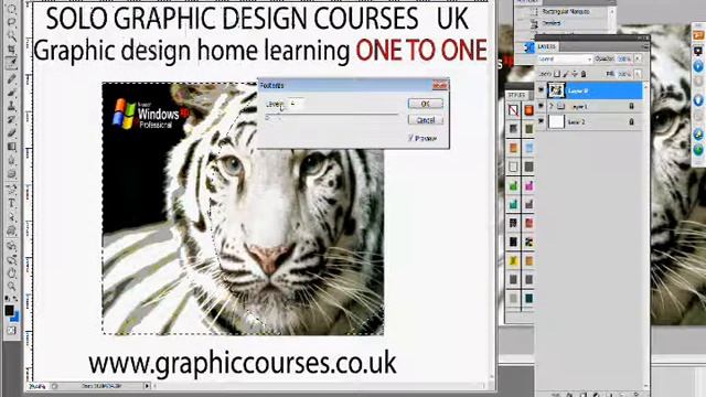 web design courses Dundee смотреть онлайн