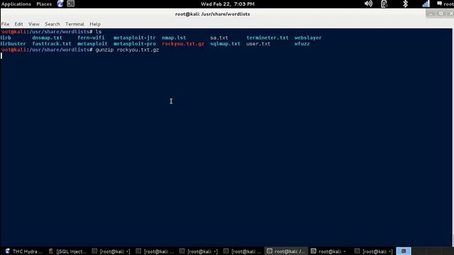 Linux Tutorial - How to use GunZip to Extract a Compressed .gz File. [Kali Linux] смотреть онлайн