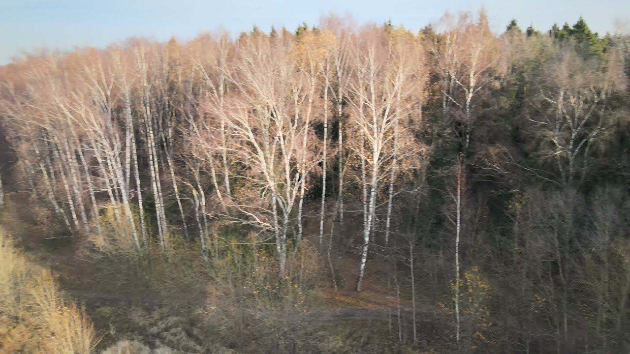 DJI 0295 смотреть онлайн