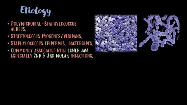 Learn about Ludwig's Angina !! | The Dentist Hub смотреть онлайн