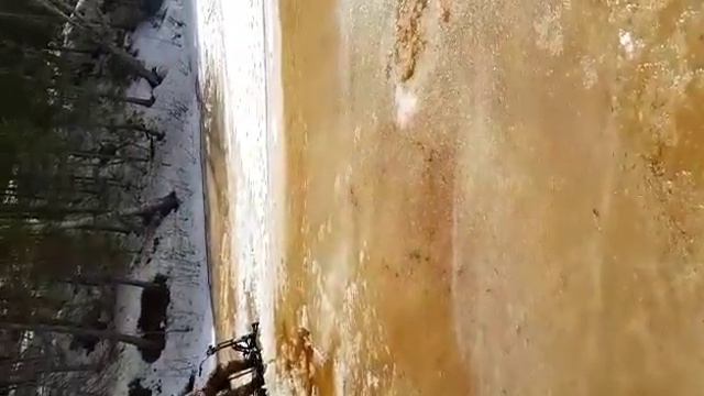 паксус смотреть онлайн