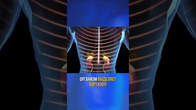 Почему я болею?