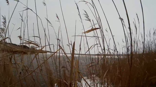Зимняя утка смотреть онлайн