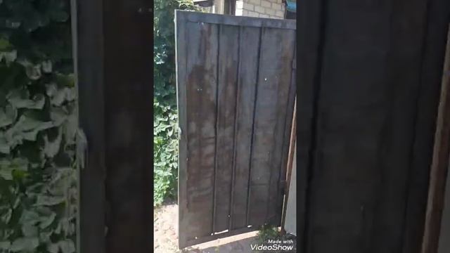 купили заброшенную дачу, бюджетный забор из шифера. смотреть онлайн