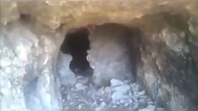 Овозхои дахшатнок дар точикистон рух додай тамошо кнен бародаро смотреть онлайн