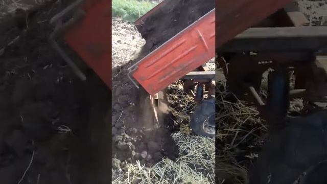 Небольшой самосвальный прицеп к трактору. смотреть онлайн