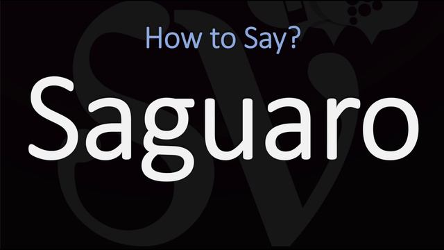 How to Pronounce Saguaro? (CORRECTLY) смотреть онлайн