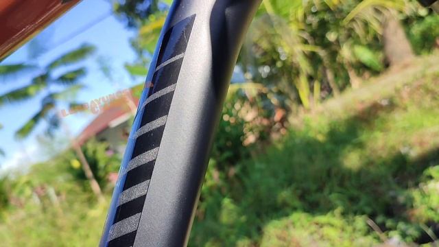 Polygon xtrada 6 2021 LE смотреть онлайн