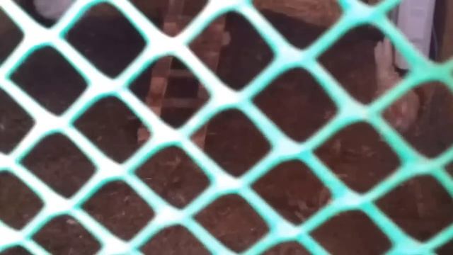 Строительные Перемены