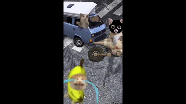 Happy Cat Series • Happy And Banana Cat Videos #036  #happycats #funny