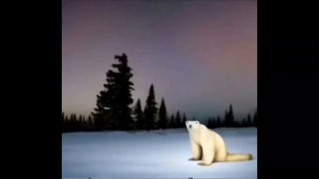 Мем из 2026 года пояснение (я новый аниматор) смотреть онлайн