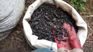 Отходы зола и уголь пойдут в доходы!