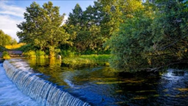 Relaxing Forest Waterfall sounds | Wasserfall | Водопад в лесу | Расслабляющие звуки природы для Сн смотреть онлайн