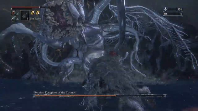 High Beasthood Kin Hunter Build смотреть онлайн