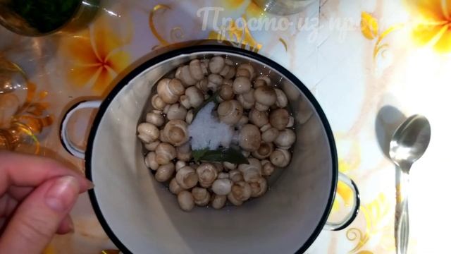 Психология и Развитие