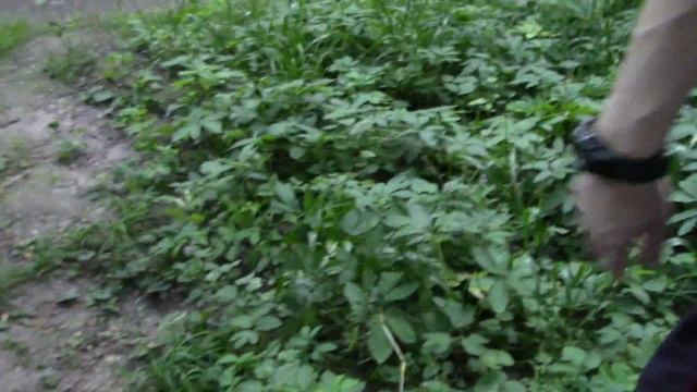 первая прогулка после ветрянки смотреть онлайн