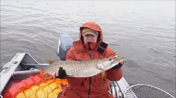 Щука  пойманная на джеркбейт Tripwire