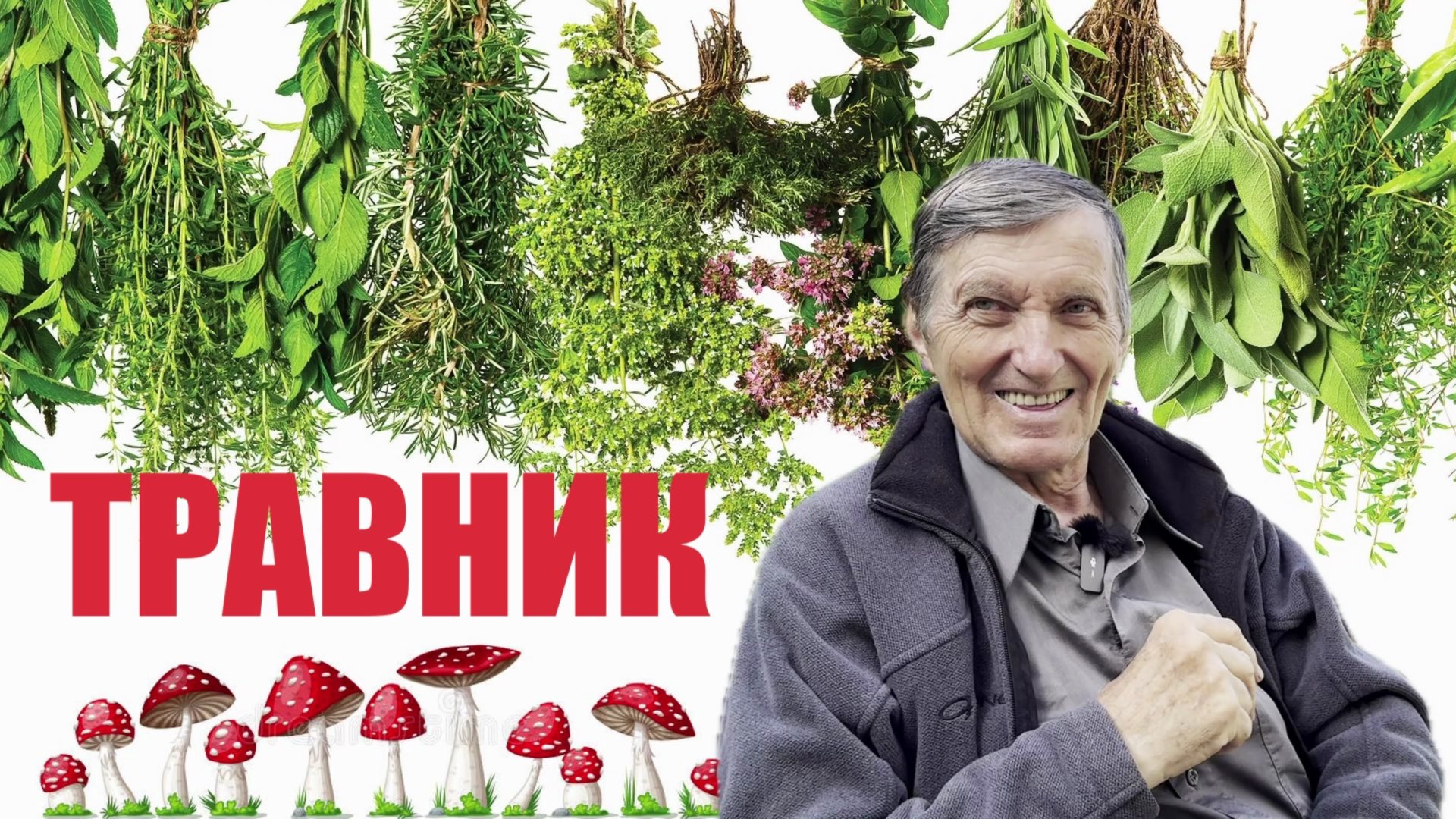 АЛХИМИЯ. СИЛА ТРАВЫ смотреть онлайн