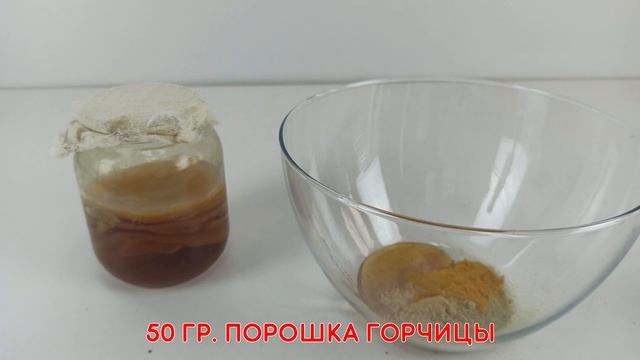 Пробиотическая горчица - Probiotic Mustard