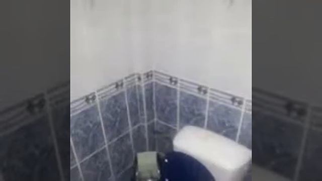 РЕМОНТ КВАРТИР.БУДИНКІВ ПІД КЛЮЧ. ІВАНО-ФРАНКІВСЬК.Т.0950645646.ОЛЕГ. смотреть онлайн